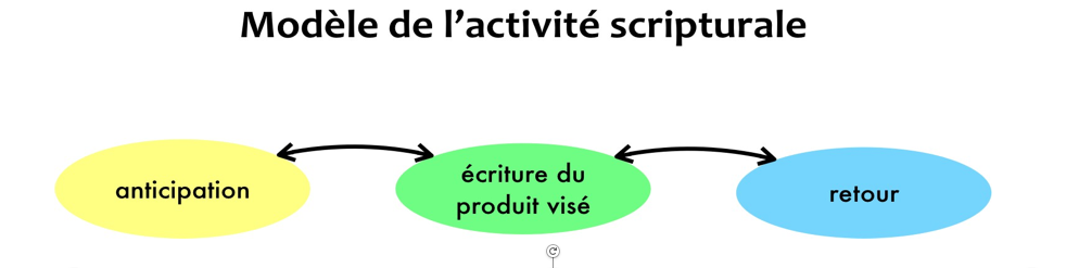 Modèle de l'activité scriptural