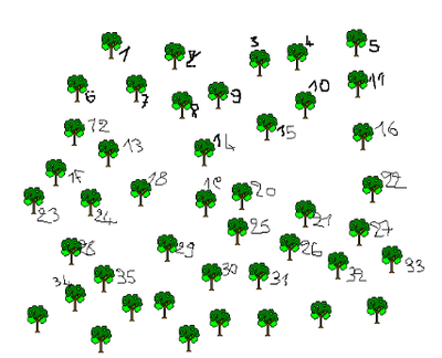 énumération arbres Briand