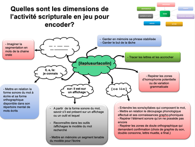 Il a plus sur la coline dimensions