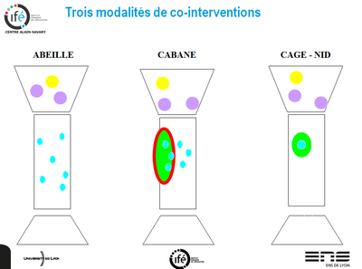 Co-intervention-Prouchet