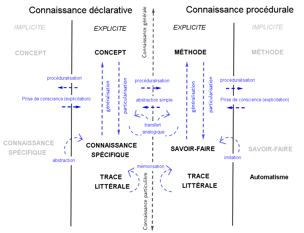 Matrice-carte-des processus apprentissages-Tricot