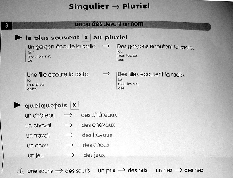 Netter leçon pluriel