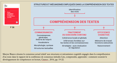 guide-rouge-ce1.png