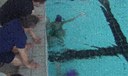 Formation académique en éducation physique et sportive : « Enseigner explicitement le savoir nager en éducation prioritaire »